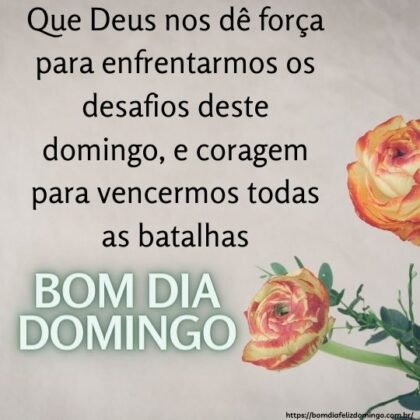 mensagens de bom dia domingo para whatsapp 2 mensagens de bom dia domingo para whatsapp 2