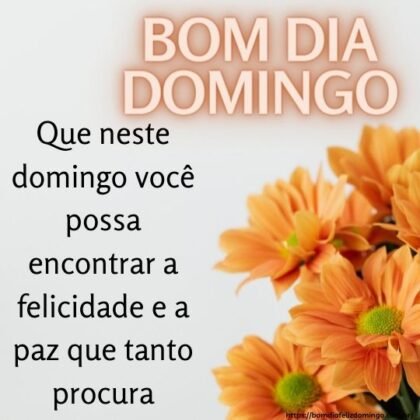 mensagens de bom dia domingo para whatsapp mensagens de bom dia domingo para whatsapp
