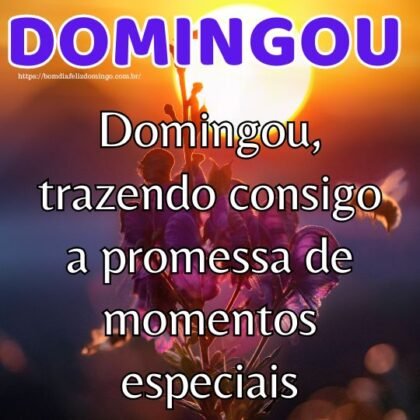 Domingou! frases e mensagens 3