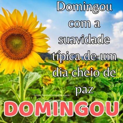 Domingou! frases e mensagens 1