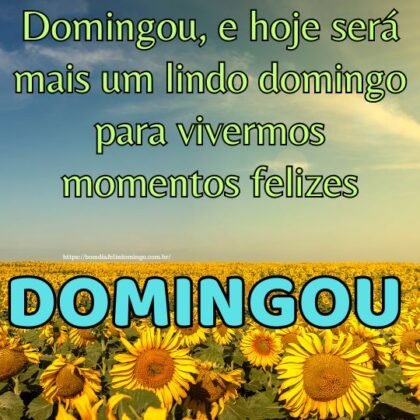 Domingou, e hoje será mais um lindo domingo para vivermos momentos felizes