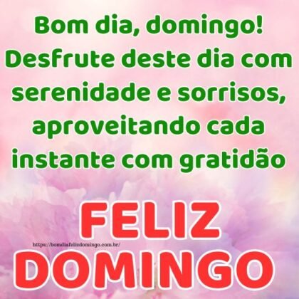 Feliz domingo bom dia 2 Feliz domingo bom dia 2
