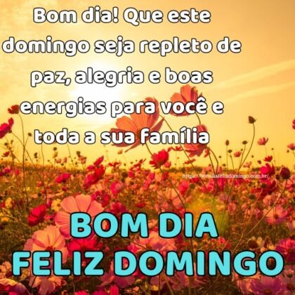 Bom dia! Que este domingo seja repleto de paz