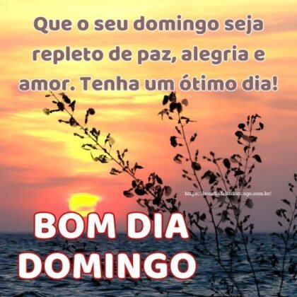 Que o seu domingo seja repleto de paz, alegria e amor. Tenha um ótimo dia!