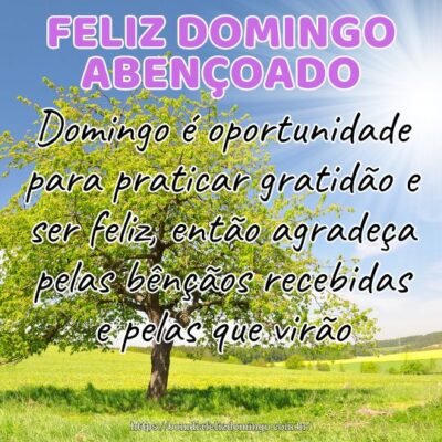 Domingo é oportunidade para praticar gratidão e ser feliz, então agradeça pelas bênçãos recebidas e pelas que virão. Bom dia!