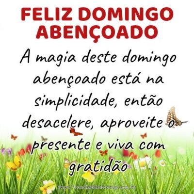 A magia deste domingo abençoado está na simplicidade, então desacelere, aproveite o presente e viva com gratidão. Feliz domingo!