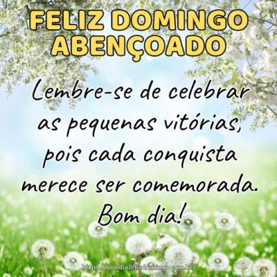 Feliz domingo abençoado! Lembre-se de celebrar as pequenas vitórias, pois cada conquista merece ser comemorada. Bom dia!