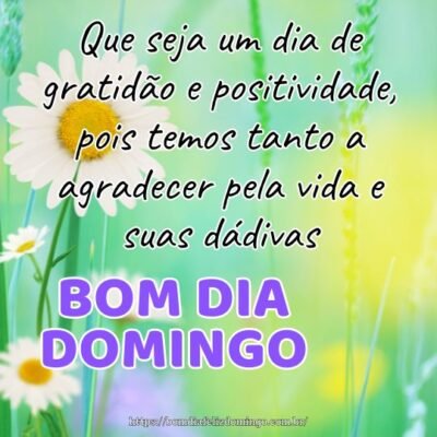 Bom dia domingo! Que seja um dia de gratidão e positividade, pois temos tanto a agradecer pela vida e suas dádivas.