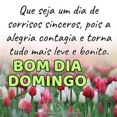 Bom dia domingo! Que seja um dia de sorrisos sinceros, pois a alegria contagia e torna tudo mais leve e bonito.