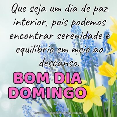 Bom dia domingo! Que seja um dia de paz interior, pois podemos encontrar serenidade e equilíbrio em meio ao descanso.