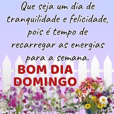 Bom dia domingo! Que seja um dia de tranquilidade e felicidade, pois é tempo de recarregar as energias para a semana.