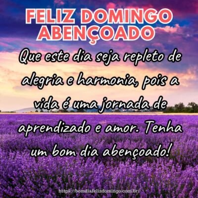 Feliz domingo! Que este dia seja repleto de alegria e harmonia, pois a vida é uma jornada de aprendizado e amor. Tenha um bom dia abençoado!