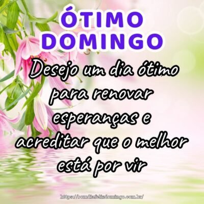 Bom dia domingo! Desejo um dia ótimo para renovar esperanças e acreditar que o melhor está por vir.