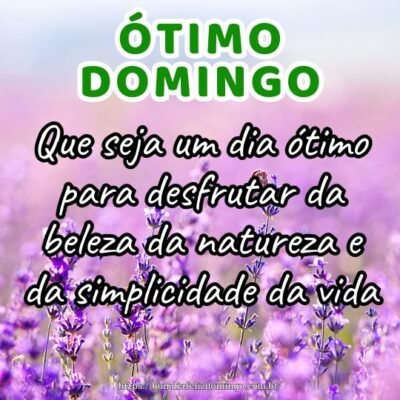 Bom dia domingo! Que seja um dia ótimo para desfrutar da beleza da natureza e da simplicidade da vida.