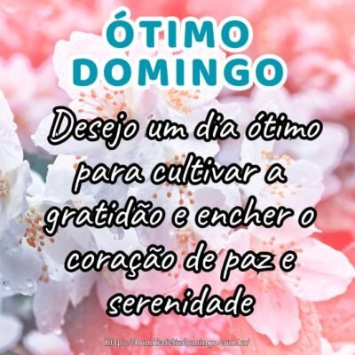 Bom dia domingo! Desejo um dia ótimo para cultivar a gratidão e encher o coração de paz e serenidade.