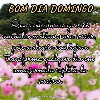 Que neste domingo você encontre motivos para sorrir, pois a alegria contagia e transforma qualquer dia em uma jornada repleta de sorrisos. Bom dia!