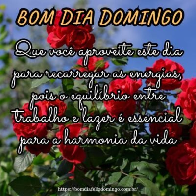 Bom dia, domingo de descanso! Que você aproveite este dia para recarregar as energias, pois o equilíbrio entre trabalho e lazer é essencial para a harmonia da vida.