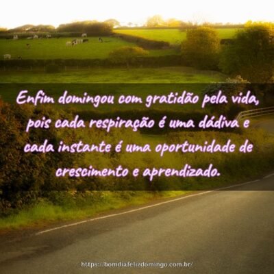 Enfim domingou com gratidão pela vida, pois cada respiração é uma dádiva e cada instante é uma oportunidade de crescimento e aprendizado. Enfim domingou com gratidão pela vida, pois cada respiração é uma dádiva e cada instante é uma oportunidade de crescimento e aprendizado.