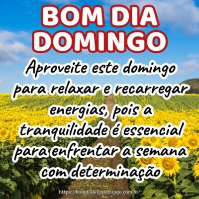 Aproveite este domingo para relaxar e recarregar energias, pois a tranquilidade é essencial para enfrentar a semana com determinação. Bom dia!