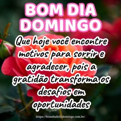 Bom dia, domingo inspirador! Que hoje você encontre motivos para sorrir e agradecer, pois a gratidão transforma os desafios em oportunidades.