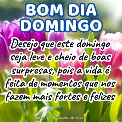 Desejo que este domingo seja leve e cheio de boas surpresas, pois a vida é feita de momentos que nos fazem mais fortes e felizes. Tenha um ótimo dia!