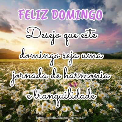 Bom dia! Desejo que este domingo seja uma jornada de harmonia e tranquilidade, onde a felicidade se faça presente em cada instante. Bom dia! Desejo que este domingo seja uma jornada de harmonia e tranquilidade, onde a felicidade se faça presente em cada instante.