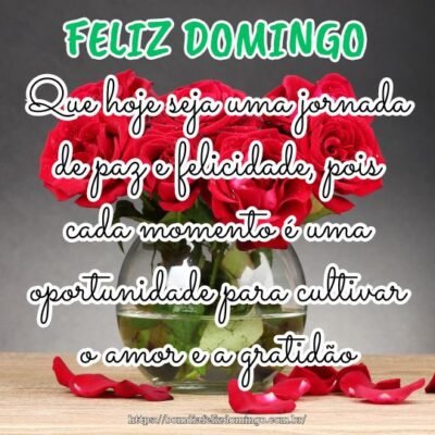 Que hoje seja uma jornada de paz e felicidade, pois cada momento é uma oportunidade para cultivar o amor e a gratidão. Tenha um feliz domingo! Que hoje seja uma jornada de paz e felicidade, pois cada momento é uma oportunidade para cultivar o amor e a gratidão. Tenha um feliz domingo!