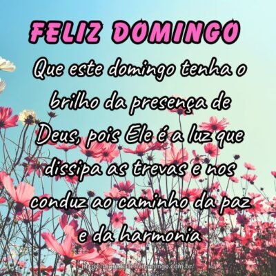 Que este domingo tenha o brilho da presença de Deus, pois Ele é a luz que dissipa as trevas e nos conduz ao caminho da paz e da harmonia.