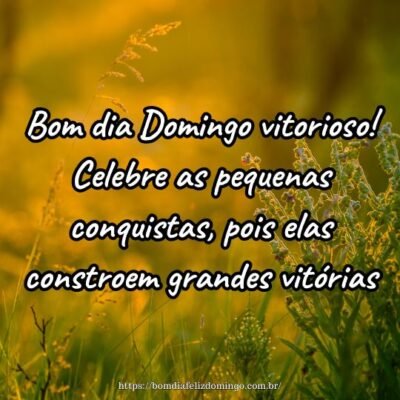 Bom dia Domingo vitorioso! Celebre as pequenas conquistas, pois elas constroem grandes vitórias.