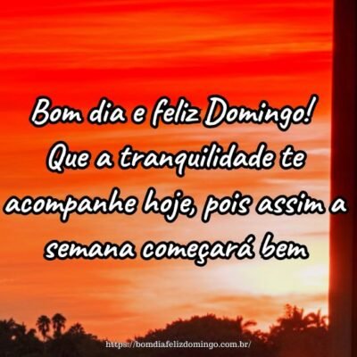 Bom dia e feliz Domingo! Que a tranquilidade te acompanhe hoje, pois assim a semana começará bem.