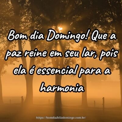 Bom dia Domingo! Que a paz reine em seu lar, pois ela é essencial para a harmonia.