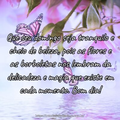 Que seu domingo seja tranquilo e cheio de beleza, pois as flores e as borboletas nos lembram da delicadeza e magia que existe em cada momento. Bom dia!