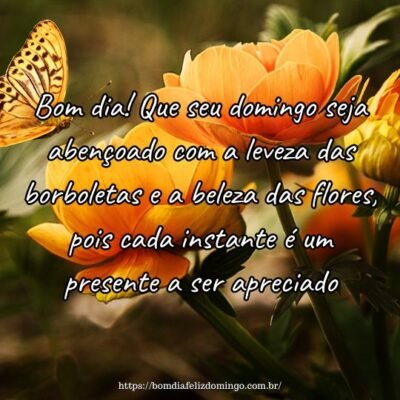 Bom dia! Que seu domingo seja abençoado com a leveza das borboletas e a beleza das flores, pois cada instante é um presente a ser apreciado.