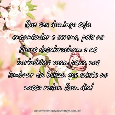 Que seu domingo seja encantador e sereno, pois as flores desabrocham e as borboletas voam para nos lembrar da beleza que existe ao nosso redor. Bom dia!