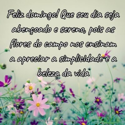 Feliz domingo! Que seu dia seja abençoado e sereno, pois as flores do campo nos ensinam a apreciar a simplicidade e a beleza da vida. Feliz domingo! Que seu dia seja abençoado e sereno, pois as flores do campo nos ensinam a apreciar a simplicidade e a beleza da vida.