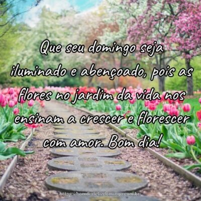 Que seu domingo seja iluminado e abençoado, pois as flores no jardim da vida nos ensinam a crescer e florescer com amor. Bom dia! Que seu domingo seja iluminado e abençoado, pois as flores no jardim da vida nos ensinam a crescer e florescer com amor. Bom dia!