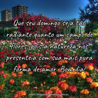 Que seu domingo seja tão radiante quanto um campo de flores, pois a natureza nos presenteia com sua mais pura forma de amor. Bom dia! Que seu domingo seja tão radiante quanto um campo de flores, pois a natureza nos presenteia com sua mais pura forma de amor. Bom dia!