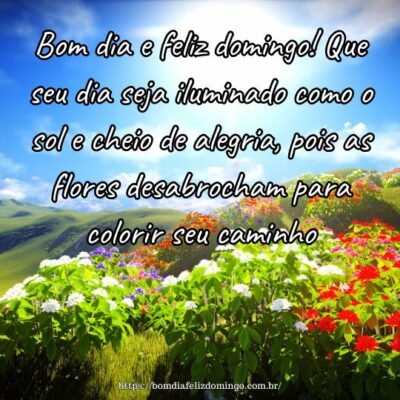 Bom dia e feliz domingo! Que seu dia seja iluminado como o sol e cheio de alegria, pois as flores desabrocham para colorir seu caminho. Bom dia e feliz domingo! Que seu dia seja iluminado como o sol e cheio de alegria, pois as flores desabrocham para colorir seu caminho.