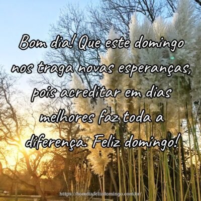 Bom dia! Que este domingo nos traga novas esperanças, pois acreditar em dias melhores faz toda a diferença. Feliz domingo! Bom dia! Que este domingo nos traga novas esperanças, pois acreditar em dias melhores faz toda a diferença. Feliz domingo!