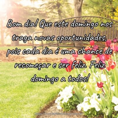 Bom dia! Que este domingo nos traga novas oportunidades, pois cada dia é uma chance de recomeçar e ser feliz. Feliz domingo a todos! Bom dia! Que este domingo nos traga novas oportunidades, pois cada dia é uma chance de recomeçar e ser feliz. Feliz domingo a todos!