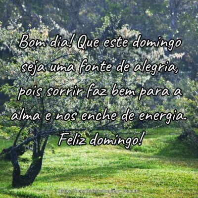 Bom dia! Que este domingo seja uma fonte de alegria, pois sorrir faz bem para a alma e nos enche de energia. Feliz domingo! Bom dia! Que este domingo seja uma fonte de alegria, pois sorrir faz bem para a alma e nos enche de energia. Feliz domingo!