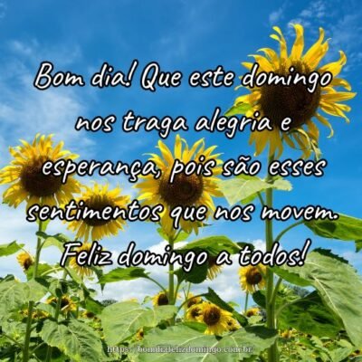 Bom dia! Que este domingo nos traga alegria e esperança, pois são esses sentimentos que nos movem. Feliz domingo a todos! Bom dia! Que este domingo nos traga alegria e esperança, pois são esses sentimentos que nos movem. Feliz domingo a todos!