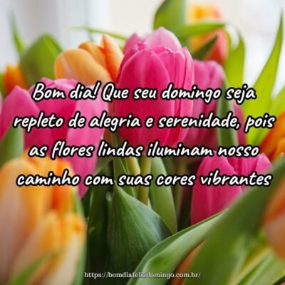 Bom dia! Que seu domingo seja repleto de alegria e serenidade, pois as flores lindas iluminam nosso caminho com suas cores vibrantes.