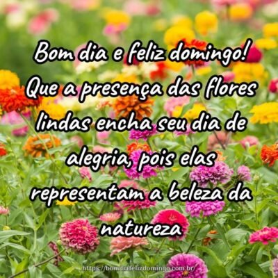 Bom dia e feliz domingo! Que a presença das flores lindas encha seu dia de alegria, pois elas representam a beleza da natureza.