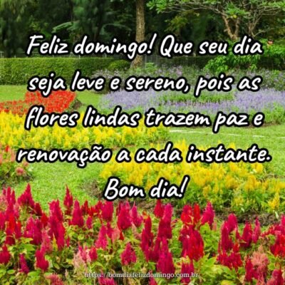 Feliz domingo! Que seu dia seja leve e sereno, pois as flores lindas trazem paz e renovação a cada instante. Bom dia!