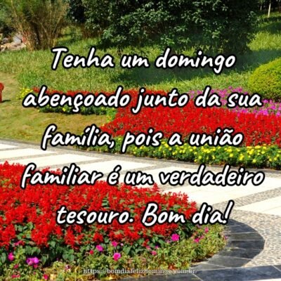 Tenha um domingo abençoado junto da sua família, pois a união familiar é um verdadeiro tesouro. Bom dia!