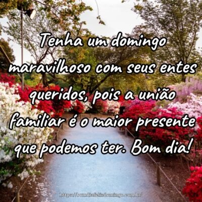 Tenha um domingo maravilhoso com seus entes queridos, pois a união familiar é o maior presente que podemos ter. Bom dia!