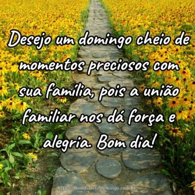 Desejo um domingo cheio de momentos preciosos com sua família, pois a união familiar nos dá força e alegria. Bom dia!