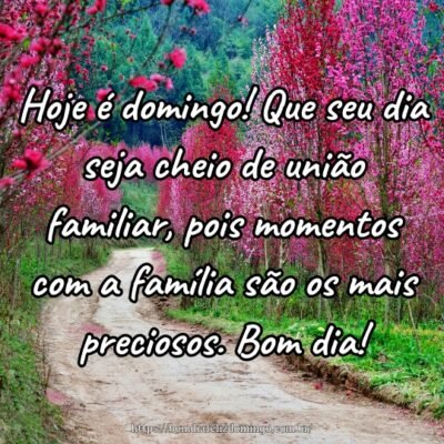 Hoje é domingo! Que seu dia seja cheio de união familiar, pois momentos com a família são os mais preciosos. Bom dia!