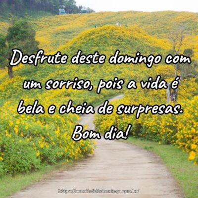 Desfrute deste domingo com um sorriso, pois a vida é bela e cheia de surpresas. Bom dia!